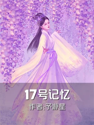17号记忆