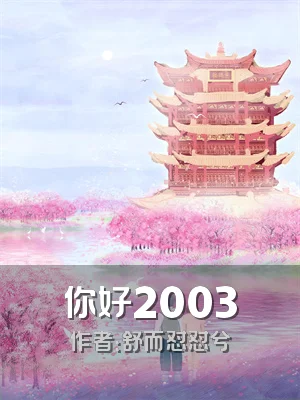 你好2003