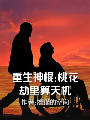 重生神棍：桃花劫里算天机