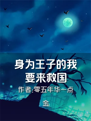 身为王子的我要来救国