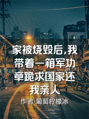 家被烧毁后，我带着一箱军功章跪求国家还我亲人