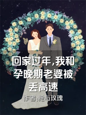 回家过年，我和孕晚期老婆被丢高速