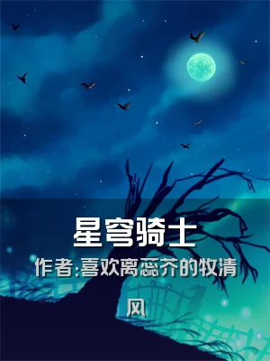 星穹骑士