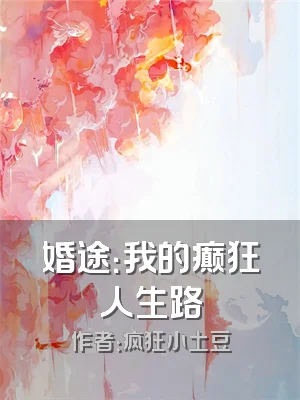 婚途：我的癫狂人生路