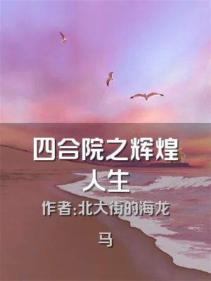 四合院之辉煌人生