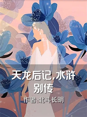 天龙后记，水浒别传
