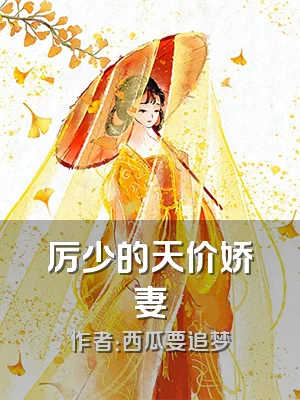 厉少的天价娇妻