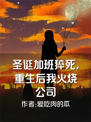 圣诞加班猝死，重生后我火烧公司