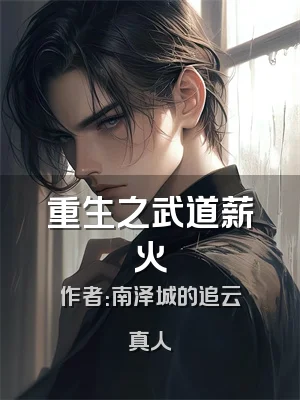重生之武道薪火