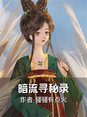 暗流寻秘录
