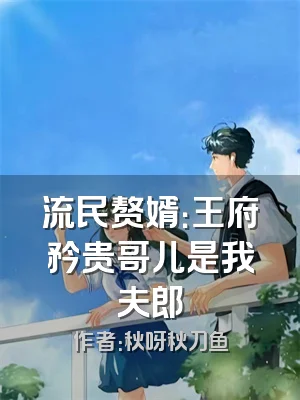 流民赘婿：王府矜贵哥儿是我夫郎