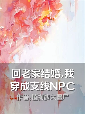 回老家结婚，我穿成支线NPC