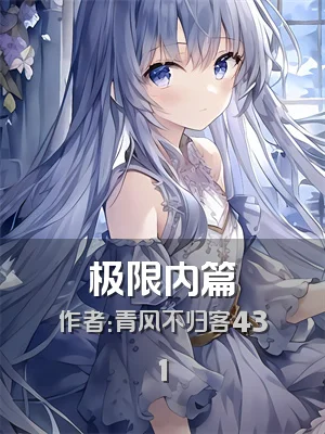 极限内篇
