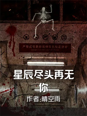 星辰尽头再无你