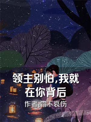 领主别怕，我就在你背后