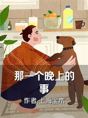 那一个晚上的事