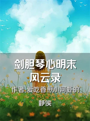 剑胆琴心明末风云录