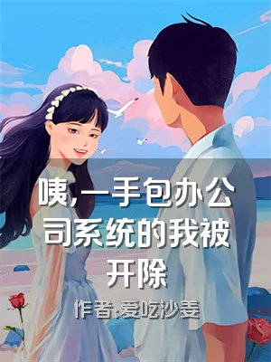 咦，一手包办公司系统的我被开除