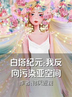 白塔纪元：我反向污染亚空间