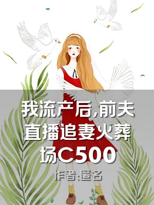 我流产后，前夫直播追妻火葬场C500