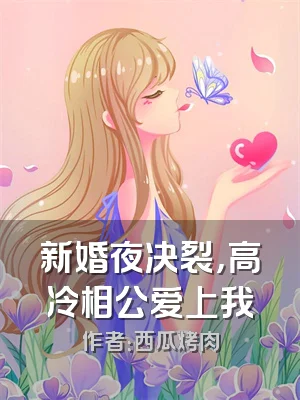 新婚夜决裂，高冷相公爱上我