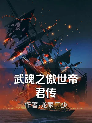 武魂之傲世帝君传