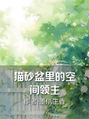 猫砂盆里的空间领主