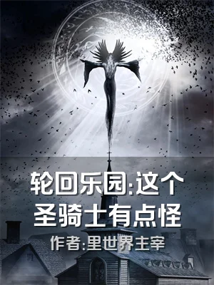 轮回乐园：这个圣骑士有点怪
