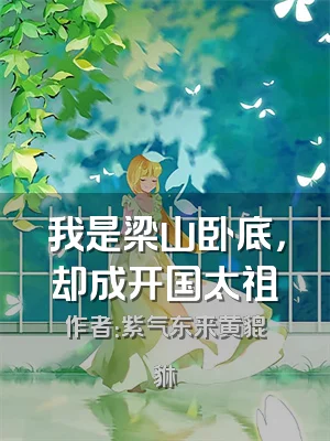 我是梁山卧底，却成开国太祖