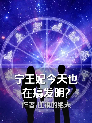 宁王妃今天也在搞发明？