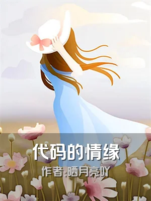 代码的情缘