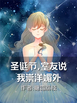 圣诞节，室友说我崇洋媚外