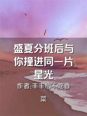 盛夏分班后与你撞进同一片星光