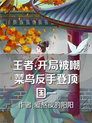 王者：开局被嘲菜鸟反手登顶国一