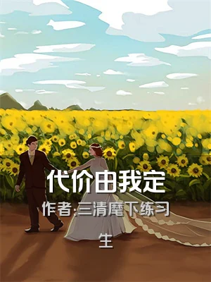 代价由我定