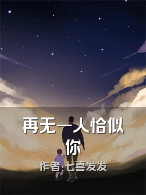 再无一人恰似你