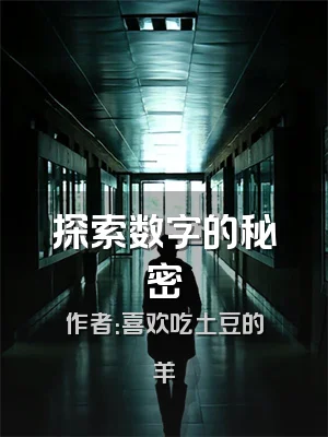 探索数字的秘密
