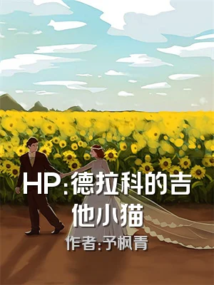 HP：德拉科的吉他小猫