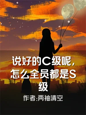 说好的C级呢，怎么全员都是S级
