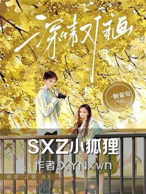SXZ小狐狸