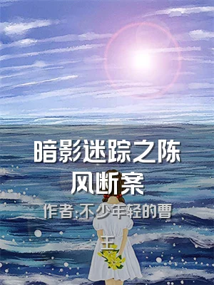 暗影迷踪之陈风断案