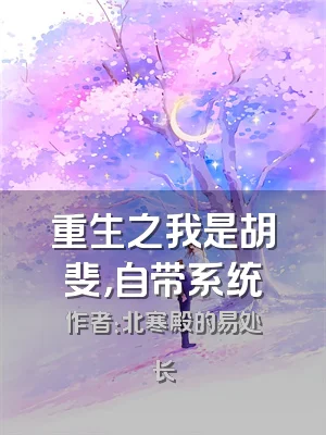 重生之我是胡斐，自带系统