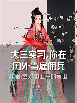 大三实习，你在国外当雇佣兵