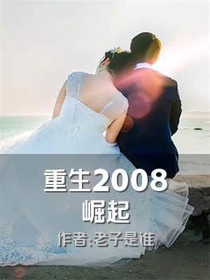 重生2008崛起