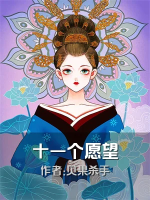 十一个愿望