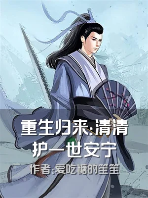 重生归来：清清护一世安宁
