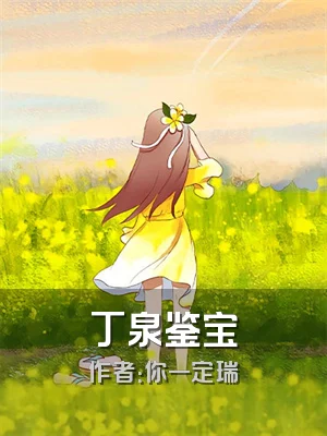 丁泉鉴宝