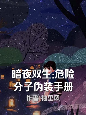 暗夜双生：危险分子伪装手册