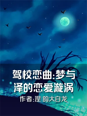 驾校恋曲：梦与泽的恋爱漩涡