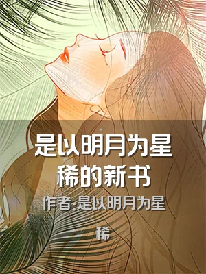 是以明月为星稀的新书